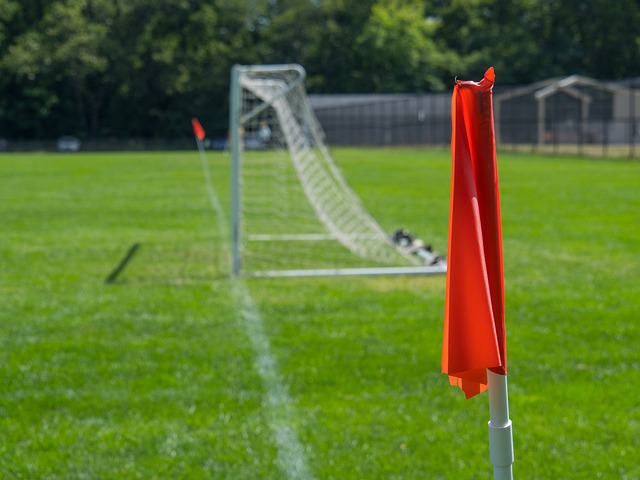 除了数据和 除了数据和