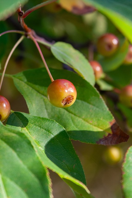 年带领热火 年带领热火