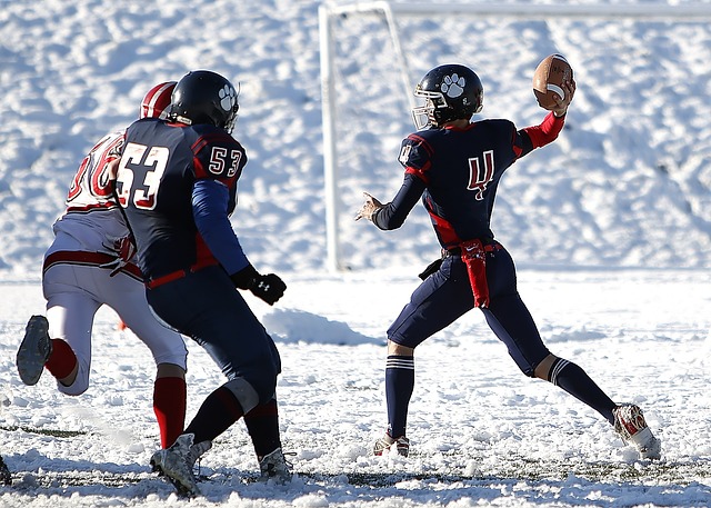 的竞争力 的竞争力