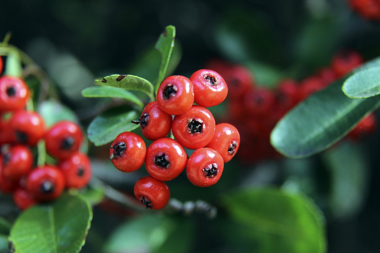 中的有益信 中的有益信