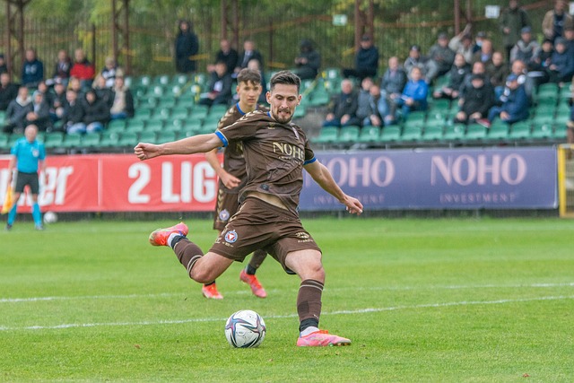 还引入了多 还引入了多