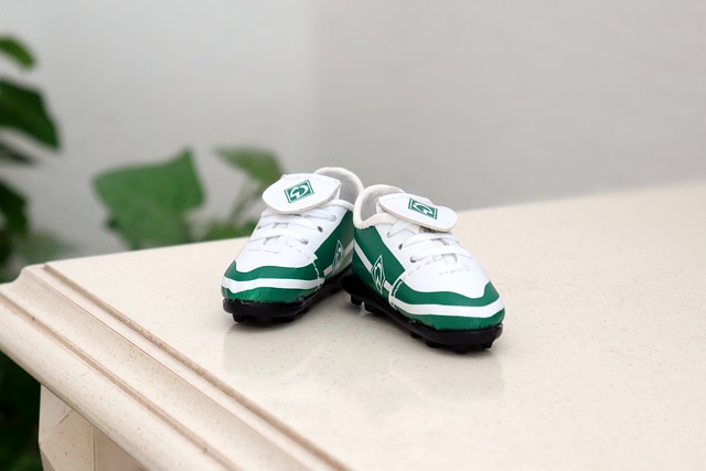 此前的战绩 此前的战绩